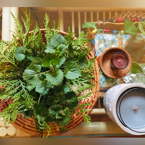 Meet your Posher, Sheena - Picture 7 of 16